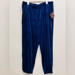 𝅺WOMEN'S Plus Size High-Rise Relaxed Velour
Jogger Pants - Ava & Viv Navy Blue